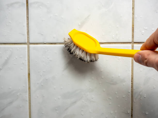 Professional Mold Removal in Deridder, LA