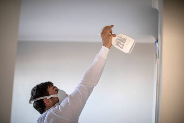 Best Commercial Mold Removal  in Deridder, LA