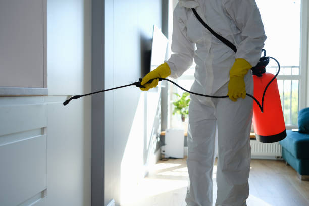 Best Mold Removal Specialists  in Deridder, LA