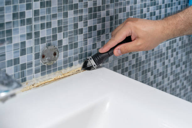 Best Fast Mold Removal  in Deridder, LA