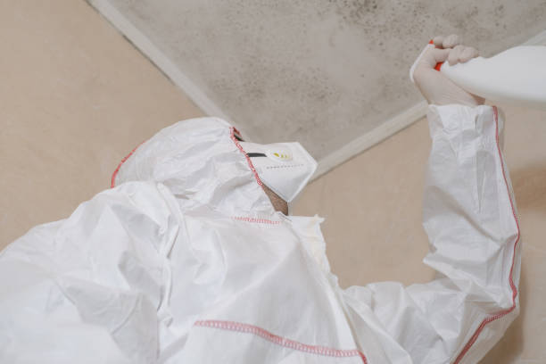 Deridder, LA Mold Removal Company