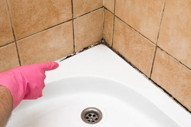 Best Crawl Space Mold Removal  in Deridder, LA